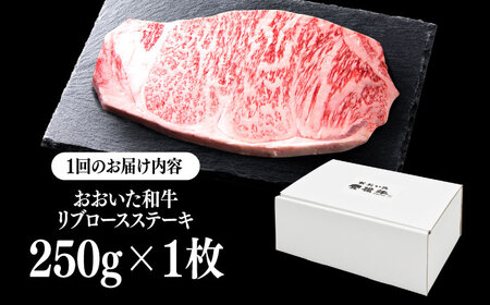 【全12回定期便】おおいた和牛 リブロースステーキ 250g(250g×1枚) 日田市 / 株式会社OTOGINO[AREF141]