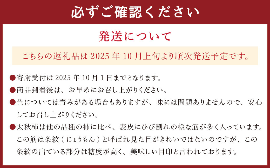 熊本県産 プレミアム 太秋柿 約2.5kg