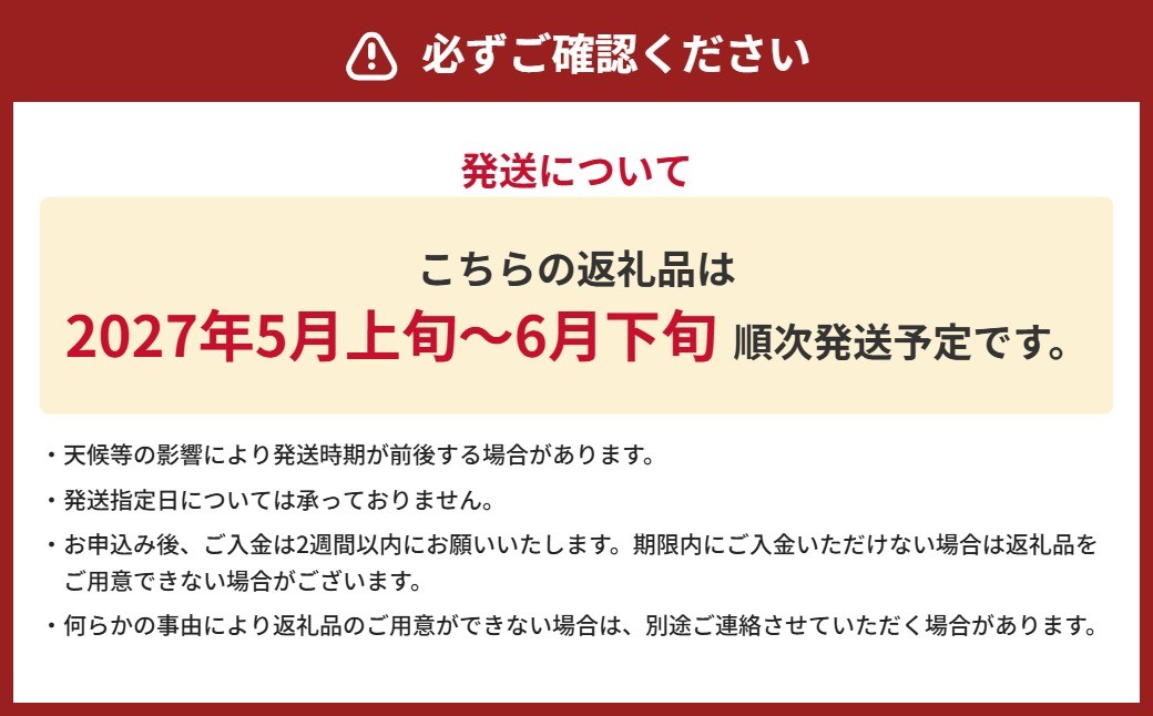 大玉すいか 1玉入り S以上 約2kg