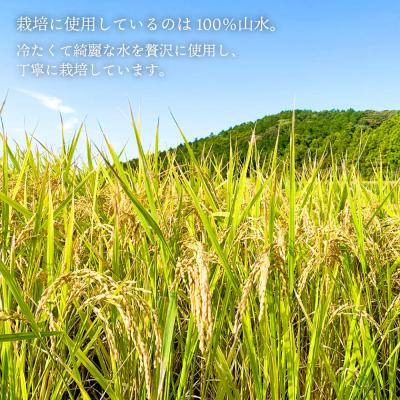 ふるさと納税 糸島市  ヒノヒカリ 5kg 糸島王丸農園(谷口汰一)【いとしまごころ】[AAZ010] |  | 03