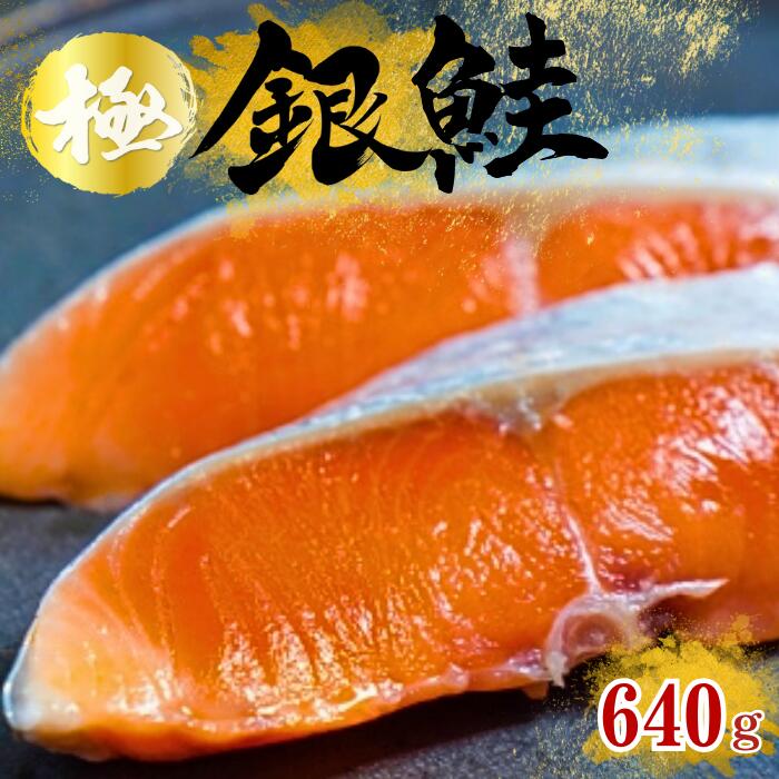 【ふるさと納税】本格銀鮭甘塩切身セット 8切 640g 鮭 切り身 個包装 冷凍 さけ サケ しゃけ 銀鮭 千葉県 匝瑳市