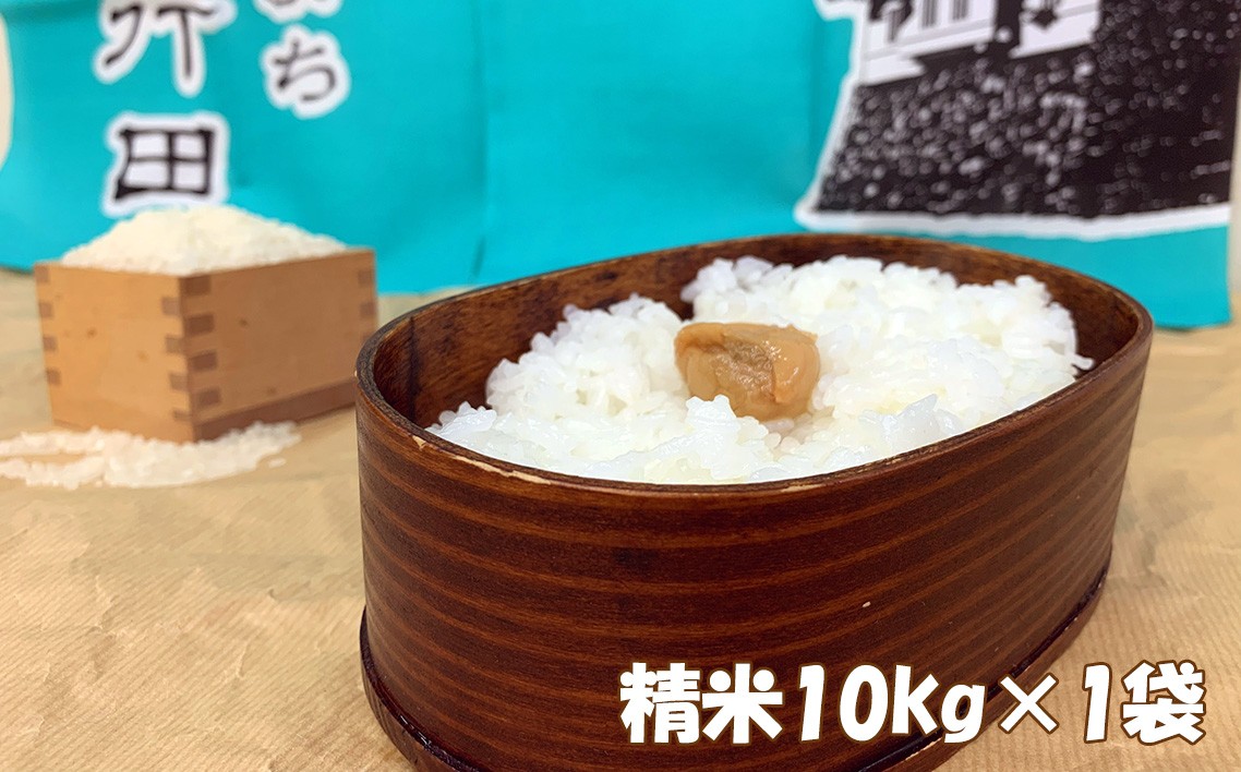 
                  行田のお米　忍城献上米10kg［むかさ商店］ ／ 米 お米 おこめ 白米 10kg 10キロ ご飯 ごはん ブランド米 産地直送 産直 国産 行田市産 埼玉県産 埼玉県 No.049
                