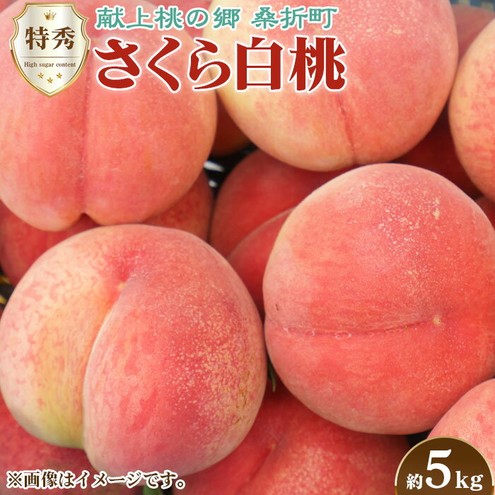 【ふるさと納税】No.175 もも（さくら白桃）特秀　5kg　桑折町産　JAふくしま未来　桃 ／ モモ 果物 フルーツ 送料無料 福島県 特産品