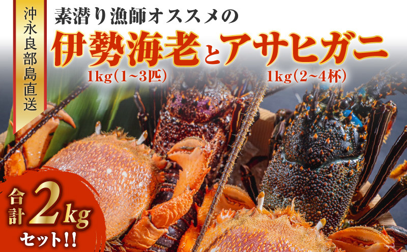 
            ■沖永良部島直送！素潜り漁師オススメの伊勢海老1kg（1～3匹）とアサヒガニ1kg（2～4杯） 合計2kgセット！！　W030-015u
          