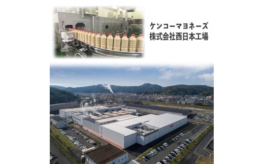 サラダのプロがつくった ポテトサラダ 20袋 個包装 ポテトサラダ ポテサラ サラダ 舞鶴 レトルト パウチ 小分け お弁当 ご飯 おかず 食べ切り サイズ ケンコーマヨネーズ