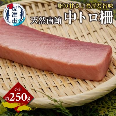 ふるさと納税 焼津市 天然 南まぐろ 中トロ柵 約250g(a14-111)