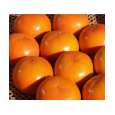 ふるさと納税 五條市 【Sunファーム】富有柿　贈答用　Lサイズ　28個入(約7.5kg)    BC7 |  | 03