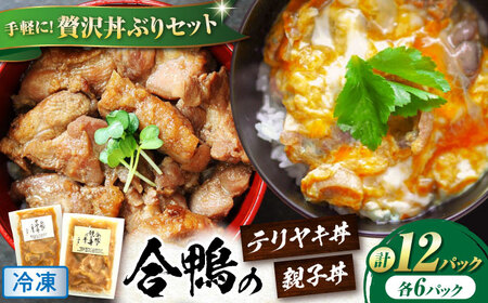 【冷凍】合鴨親子丼の素・合鴨テリヤキ丼の素 各6 計12パックセット　滋賀県長浜市/株式会社 一湖房[AQCB020]