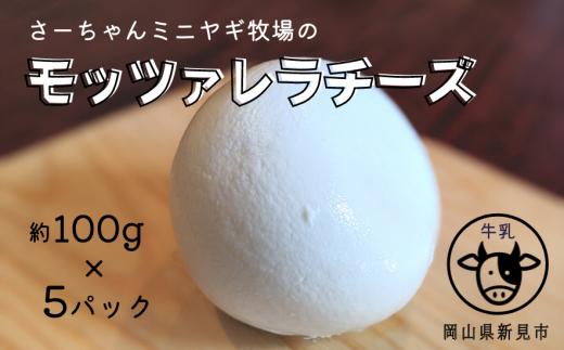 【限定：11月～3月発送・牛乳使用】モッツァレラチーズ 約100g×5パック