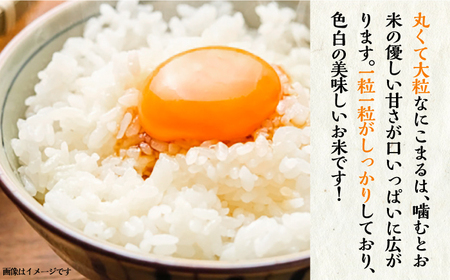 【全2回定期便】壱岐産米 にこまる 5kg《壱岐市》【壱岐市農業協同組合】[JBO134]