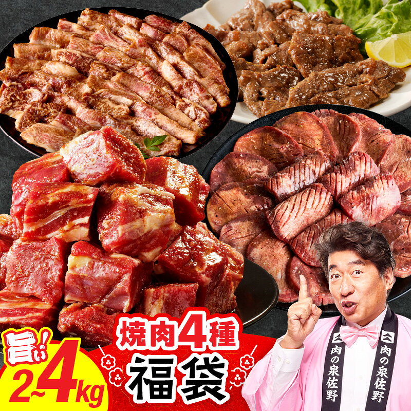 【ふるさと納税】【発送月が選べる】 焼肉 福袋 4種 選べる 内容量 2kg / 4kg 氷温熟成 特製ダレ 500g 小分け 牛タン ヒレ ハラミ バラ 数量限定 冷凍 お取り寄せ 大阪府 泉佐野市 送料無料 牛肉 熟成肉 ふるさと納税オリジナル 限定 肉の泉佐野 年内配送