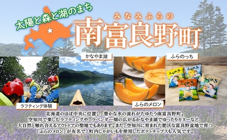 【子供用】 nanpu イトウ Tシャツ  120cm レッド 北海道 南富良野町 限定デザイン オリジナル キッズサイズ 子供用