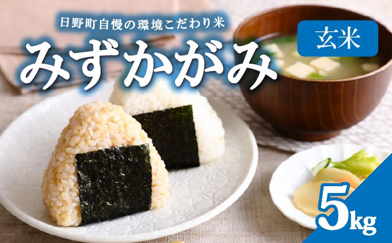
                  【 先行予約 】 令和8年産 新米 5kg みずかがみ 米 玄米 環境こだわり米 特別栽培米 お米 5kg×1袋 玄米 国産 滋賀県 日野町 農家直送 環境こだわり 米 ご飯 おにぎり お弁当 弁当 kome mizukagami R8年 R8 8年産 ゲンマイ しんまい おこめ こめ オコメ 11000円 産地直送 日野町産米 ふぁーむ　一粒まん福
                