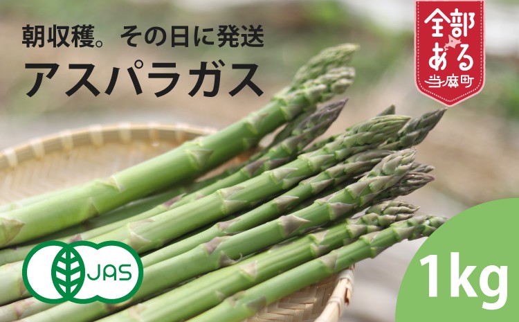 
                  【2027年産予約受付】北海道産アスパラガス  1kg　栽培期間中無農薬・無化学肥料
                