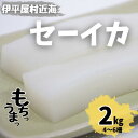 【ふるさと納税】もちっと食感 セーイカ 2kg(4～6柵)【配送不可地域：離島】【1544699】