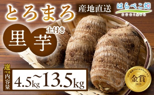 《選べる容量》【粘りと甘みが段違い】里芋『とろまろ』土付き 4.5kg・H059-SKU