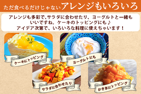 期間限定！＜宮崎特産！国富町産の完熟マンゴー 1玉（2L）＞2026年3月下旬～6月下旬迄に順次出荷