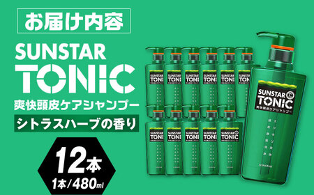 サンスタートニックシャンプー 480ml×12本＜シトラスハーブの香り＞　シャンプー メンズ 男性 大容量 まとめ買い　大阪府高槻市/サンスター[AOAD030] [AOAD030]