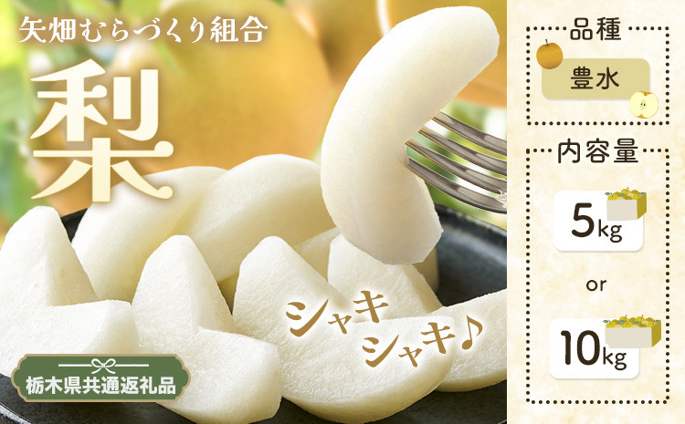 
            N03 梨 なし 豊水 5kg or 10kgフルーツ 先行予約 矢畑むらづくり組合《8月下旬-9月中旬頃出荷》 栃木県【栃木県共通返礼品　栃木県産】【配送不可地域あり】(離島)
          