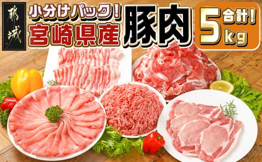 
                  宮崎県産豚肉5kgセット〔M6-026〕_(都城市) ロース バラ 切り落とし ミンチ すき焼き とんかつ 焼肉 炒め物 ハンバーグ
                