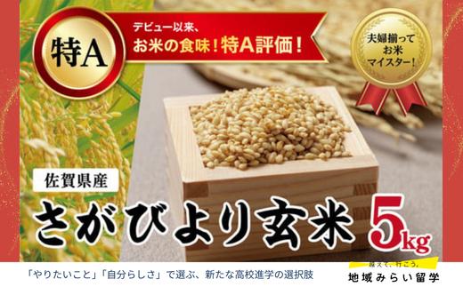 
                  【大塚米穀】さがびより玄米5kg
                