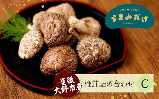 015-299x1 豊後大野市産 椎茸 詰め合わせ C  7袋セット うまみだけ