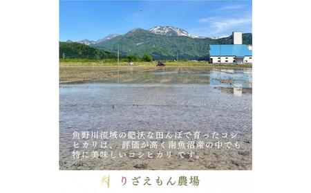 【定期便5回×5kg《合計25kg》】令和５年産　南魚沼産コシヒカリ　白米5kg＼生産農家直送／