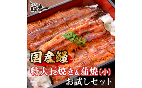 【日本一】国産うなぎ　特大長焼き+うなぎ蒲焼小90g　お試しセット No.192