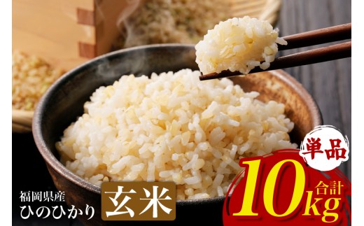 【ふるさと納税】ひのひかり 米 お米  玄米  10kg  10キロ 福岡県産 うきは市 国産 精米 ご飯 ごはん おにぎり お弁当 人気 おすすめ 家庭用 送料無料 新米 ストック 厳選 農家直送 大容量【JA福岡くるめ にじの耳納の里】