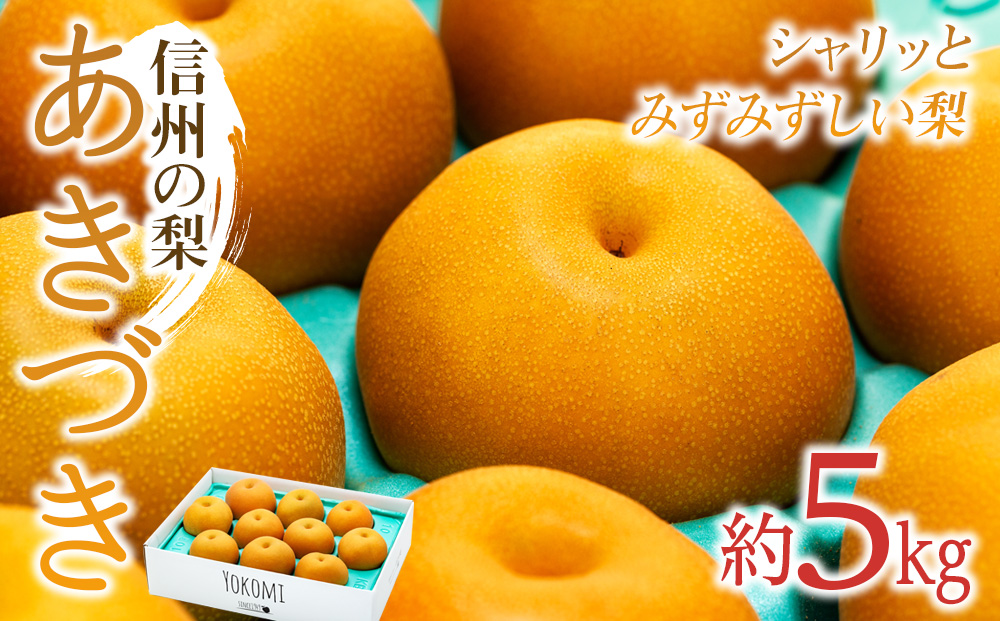 【2026年/令和8年発送分 】梨 長野 あきづき 約5kg 信州の梨 