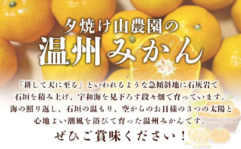 ＜夕焼け山農園 愛媛県西予市産 温州みかん 家庭用 約3kg＞『2026年10月上旬～12月下旬予定』果物 フルーツ ミカン 蜜柑 柑橘 なんかん 訳あり うんしゅうみかん ウンシュウ 特産品 愛媛県