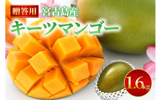 
                  《2026年夏発送》【贈答用】宮古島産キーツマンゴー 1.6kg｜ミナバ果樹園（KM07）
                