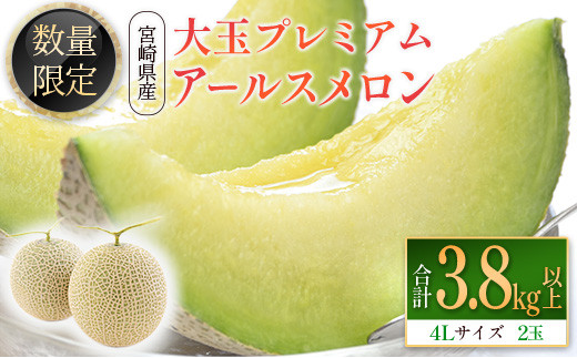 
                  ＜数量限定＞大玉プレミアムアールスメロン 4L2玉 秀品 計3.8kg以上 先行予約 国産 宮崎県産【C331】
                