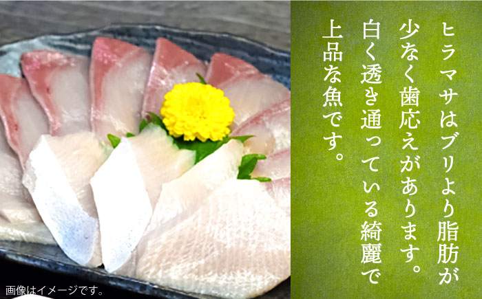 【全6回定期便】ヒラマサ半身 お刺身ブロック 2枚 （1尾分） 刺身 フィレ ヒラマサ 定期便 [JDT043] 324000 324000円