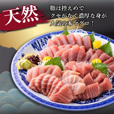 ふるさと納税 室戸市 【 3回定期便 】 天然メバチマグロ 中トロ 赤身 柵 計680g以上 |  | 01