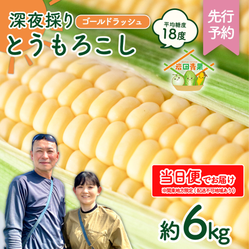 【関東+山梨県 限定当日便】【先行予約 2026年6月中旬以降発送 】 【 令和8年産 】 深夜採り 朝出荷 とうもろこし （ ゴールドラッシュ ） 約6kg トウモロコシ スイートコーン コーン 野菜 産地直送 期間限定 極甘 岩田さん 昼めし旅 [AX066ya]
