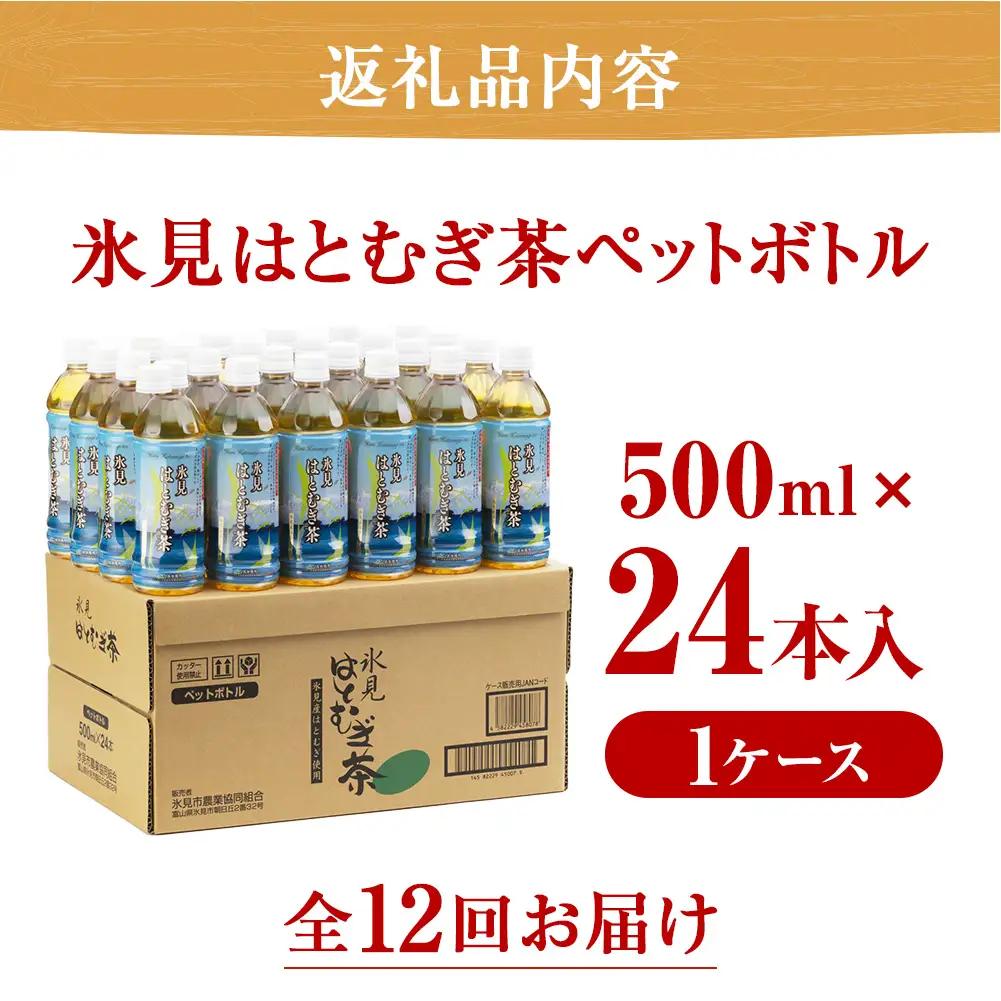 【12ヶ月定期便】 氷見はとむぎ茶 ペットボトル 500ml × 24本