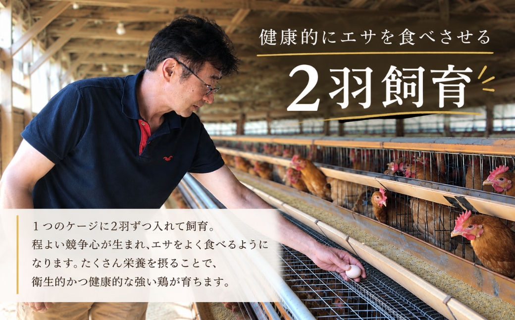 【6回定期便】キムラファームの産みたて卵 赤たまご30個（Mサイズ）産みたてたまご たまご 卵 玉子 タマゴ 鶏卵 オムレツ 卵かけご飯 たまご焼き 新潟県 五泉市