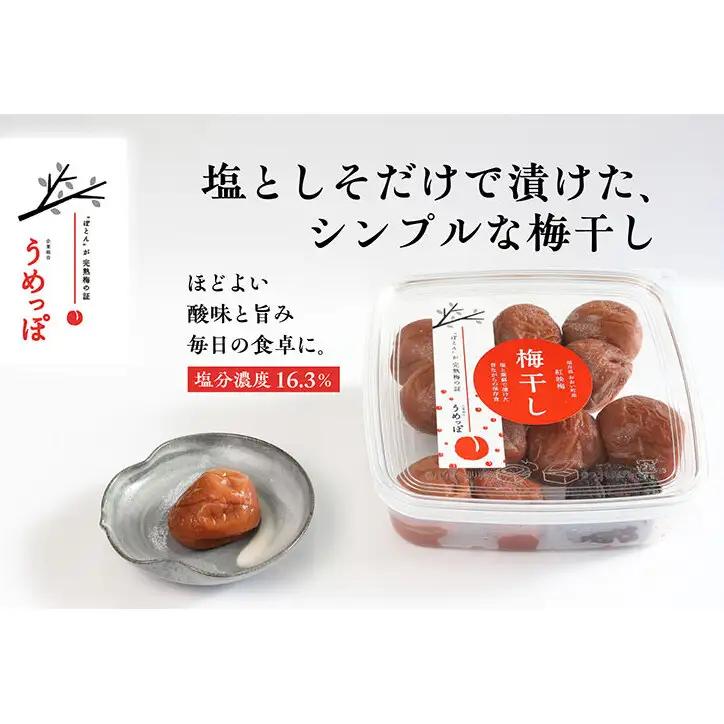 おおい町産の希少品種の完熟梅　昔ながらの梅干　いろいろセット 紅映梅 希少品種 樹上完熟 昔ながら 梅農家が作った 手作り 福井梅 梅 梅干 梅干し うめぼし 完熟 食べ比べ セット 福井県 おおい町