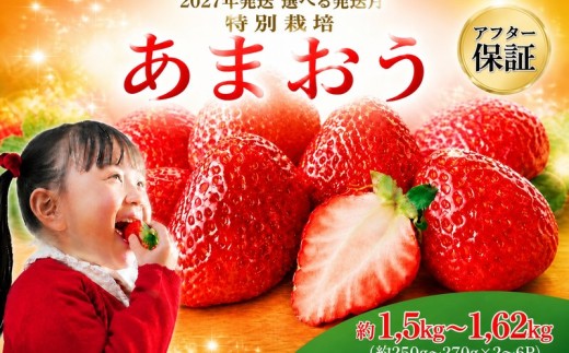 【2027年4月発送予定】【アフター保証】うるう農園特別栽培あまおう約250g~270g×6P (不揃い) 冷蔵 小分け いちご 苺 イチゴ フルーツ 果物 スイーツ くだもの 冬 春 旬 福岡 九州 福岡県 川崎町 数量限定 期間限定