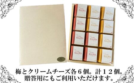 松伏 響菓子 エローラ 梅 チーズ 洋菓子 お菓子 スイーツ スイーツセット おやつ 和洋折衷 柔らかなお菓子 チーズ入り 梅あん入り 食べ比べ ティータイム 