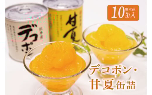B10-13 デコポン・甘夏缶詰セット（10缶入）