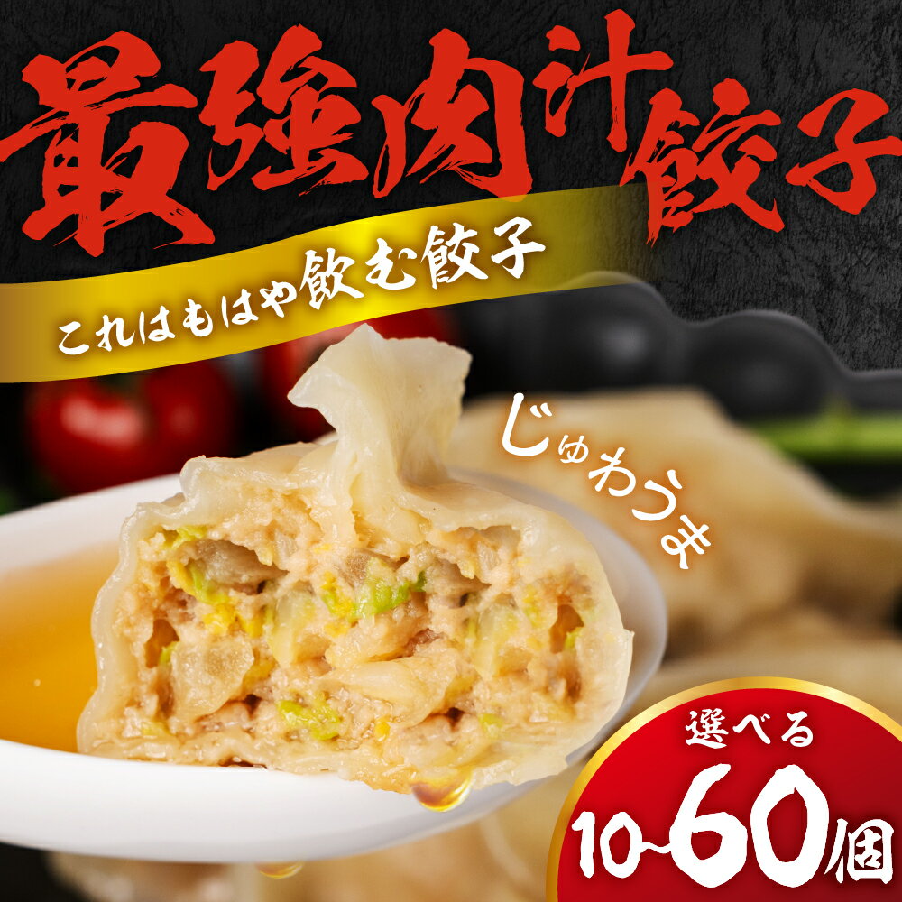 【ふるさと納税】『最強肉汁餃子』 冷凍餃子 国産肉（鶏・豚・牛）と 国産野菜使用 着色料不使用 手作り 豊橋産 お取り寄せ グルメ ギフト 惣菜 おつまみ ビールに合う 家族向け 大容量 パーティ 水餃子 焼餃子 ご飯のお供 晩酌 中華 夕飯 おかず 5000円 訳あり 簡易包装あり
