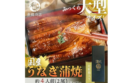 
大型サイズ　ふっくら柔らか国産うなぎ蒲焼き　2尾
