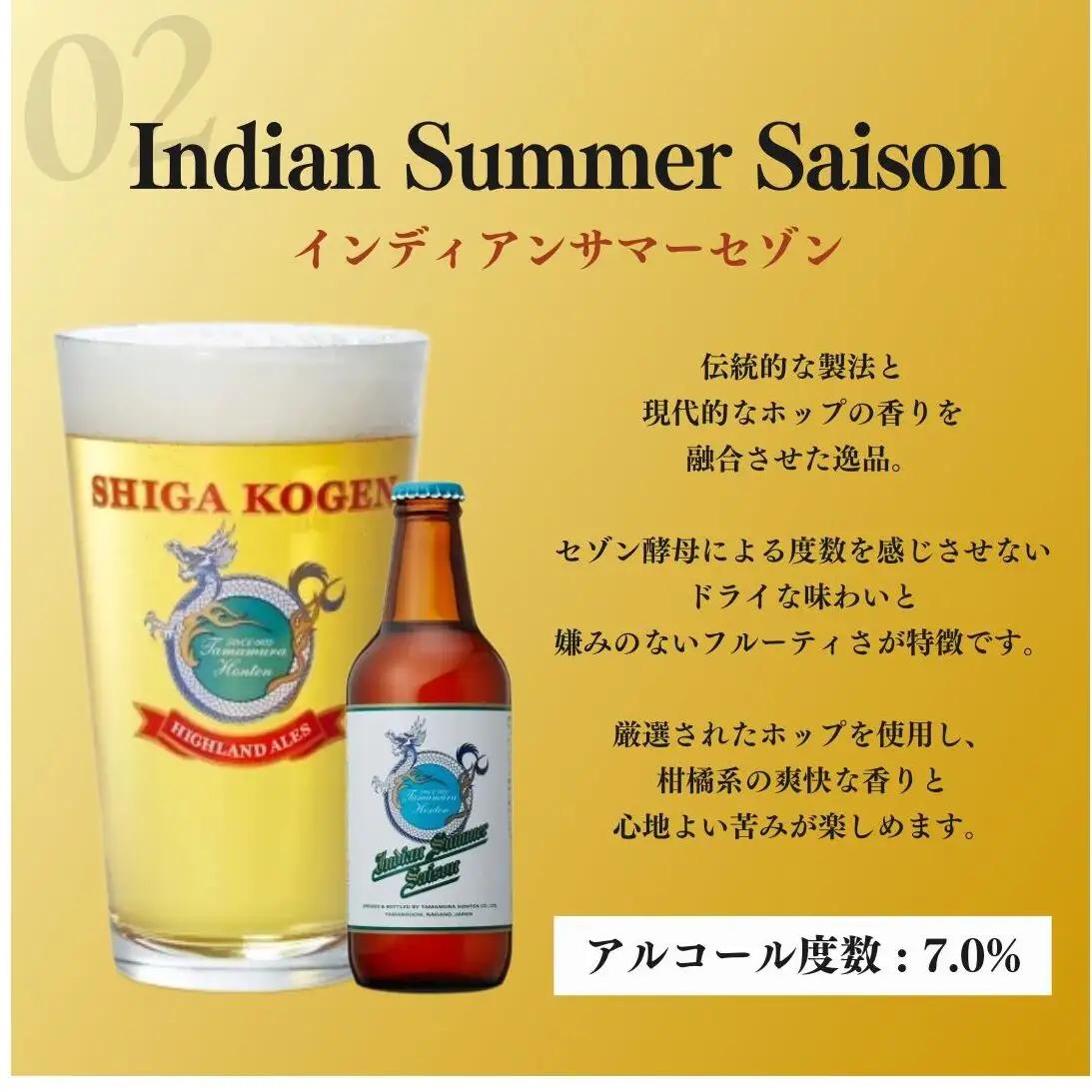 定期便 6ヶ月 クラフトビール 志賀高原ビール 24本 セット 玉村本店 クラフトビール