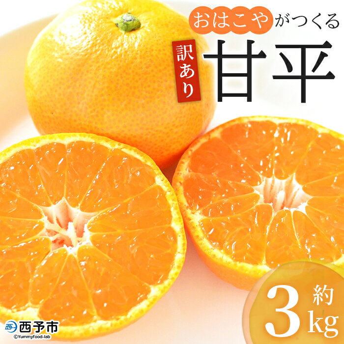 【ふるさと納税】＜訳あり おはこやがつくる 甘平 約3kg＞ ワケアリ 家庭用 自宅用 果物 くだもの 果実 フルーツ 柑橘類 かんぺい カンペイ みかん ミカン 蜜柑 特産品 西宇和 愛媛県 西予市 【常温】『2026年2月上旬～2月下旬迄に順次出荷予定』