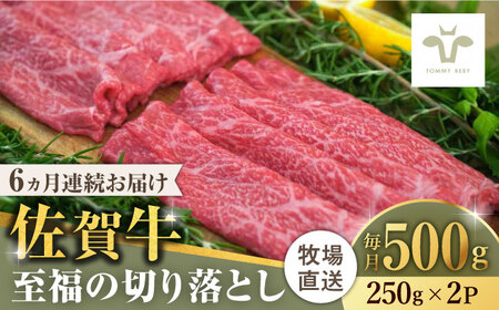 【全6回定期便】佐賀牛至福の切り落とし 計3kg（250g×2袋×6回）/ ブランド牛 牛肉 和牛 定期便 小分け / 佐賀県 / 有限会社佐賀セントラル牧場 [41ASAA019]