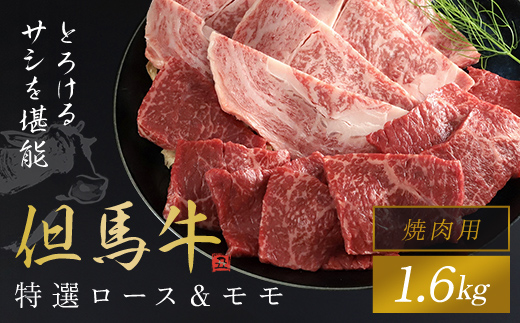 【但馬牛】特選ロース＆モモ1600g (焼肉用) 但馬牛 牛肉 お肉 牛 肉 ロース モモ ロース肉 モモ肉 牛ロース 牛モモ 焼肉用 焼肉 黒毛和牛 国産和牛 ブランド和牛 BBQ バーベキュー 兵庫県 朝来市 AS1K8