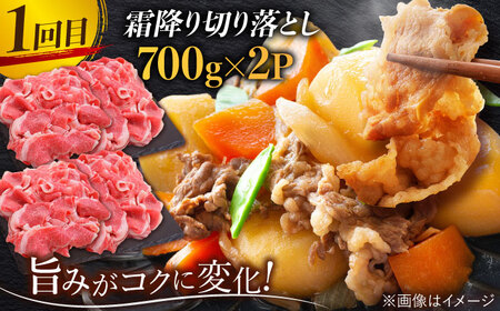 【全3回】旨みじゅわ〜♪ A4 A5 佐賀牛 霜降り定期便 3,000g 総計3kg 吉野ヶ里町/ミートフーズ華松 佐賀牛 牛肉 肉 霜降り 国産 ブランド牛[FAY022]