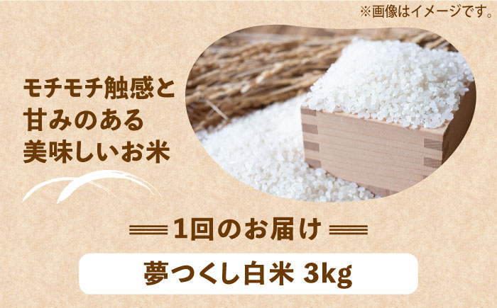 【全5回定期便】【令和6年産新米】【先行予約】 ひかりファーム の 夢つくし 3kg【2024年10月以降順次発送】《築上町》【ひかりファーム】 [ABAV016] 58000円  58000円